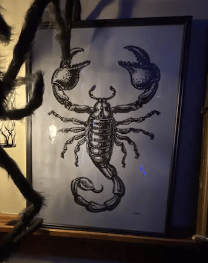 Stitching Jules Design Cross Stitch Pattern Scorpion Monochrome Blackwork Cross Stitch Pattern | Instant PDF Download