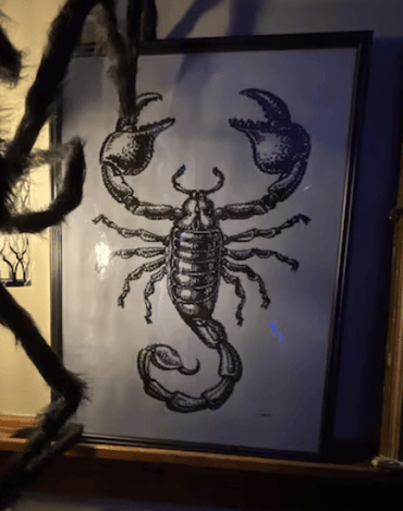 Stitching Jules Design Cross Stitch Pattern Scorpion Monochrome Blackwork Cross Stitch Pattern | Instant PDF Download