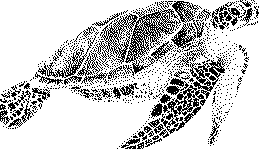 Stitching Jules Design Cross Stitch Pattern Sea Turtle Wildlife Animal Marine Monochrome Cross Stitch Embroidery Needlepoint Pattern PDF Download