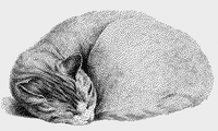 Thumbnail for Stitching Jules Design Cross Stitch Pattern Sleeping Cat Monochrome Cross Stitch Pattern Digital Download