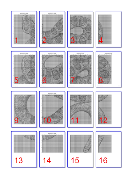 Stitching Jules Design Cross Stitch Pattern Snake Cross Stitch Pattern | Reptile Cross Stitch Pattern | Blackwork | Instant PDF Download And Physical Pattern Options