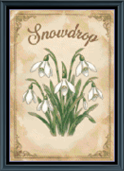 Stitching Jules Design Cross Stitch Pattern Snowdrop Winter Flower Full Coverage Counted Cross-Stitch Pattern (Digital Download)