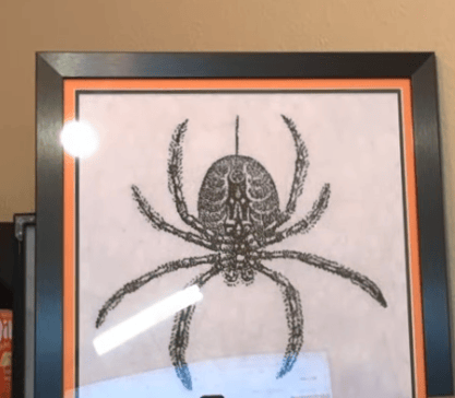 Stitching Jules Design Cross Stitch Pattern Spider Counted Cross Stitch Pattern | Monochrome Cross Stitch | Instant PDF Download