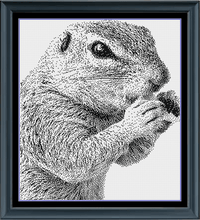 Thumbnail for Stitching Jules Design Cross Stitch Pattern Squirrel Wildlife Monochrome Blackwork Cross Stitch Pattern Instant Download PDF