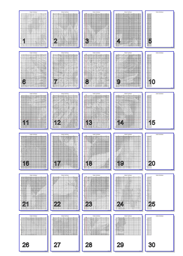 Stitching Jules Design Cross Stitch Pattern Sunflower Floral Large Full Coverage Counted Cross Stitch Pattern (Digital Download)
