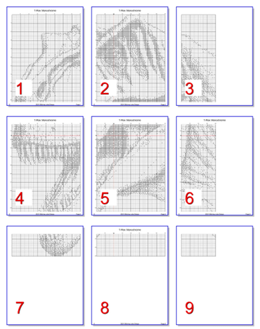 Stitching Jules Design Cross Stitch Pattern T-Rex Monochrome
