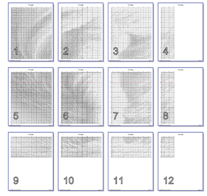 Stitching Jules Design Cross Stitch Pattern Tornado Storm Chaser Monochrome Blackwork Counted Cross Stitch Pattern Digital Download