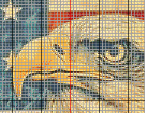 Stitching Jules Design Cross Stitch Pattern Vintage Americana Patriotic American Flag Bald Eagle Full Coverage Counted Cross Stitch Pattern Digital Download