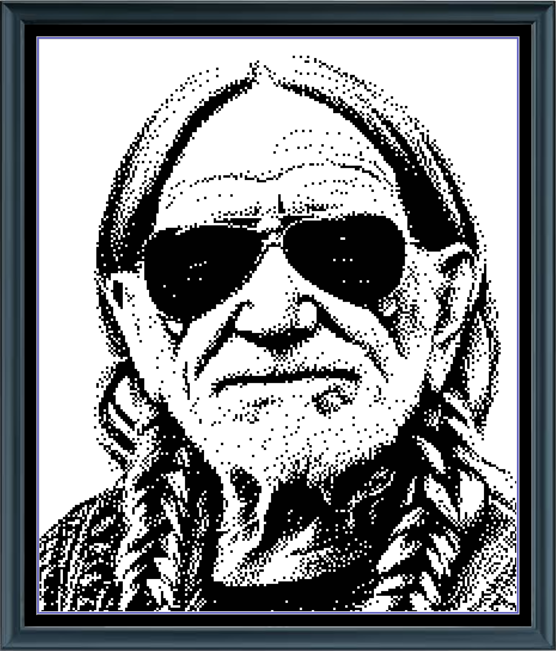 Stitching Jules Design Cross Stitch Pattern Willie Country Singer Famous Icon Monochrome Counted Cross Stitch Pattern Digital Download