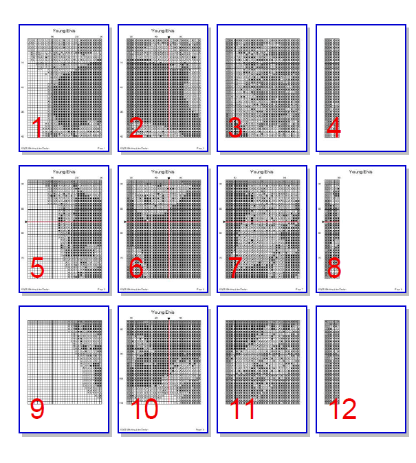 Stitching Jules Design Needlecraft Pattern Elvis Presley Cross-Stitch Pattern Instant PDF Download