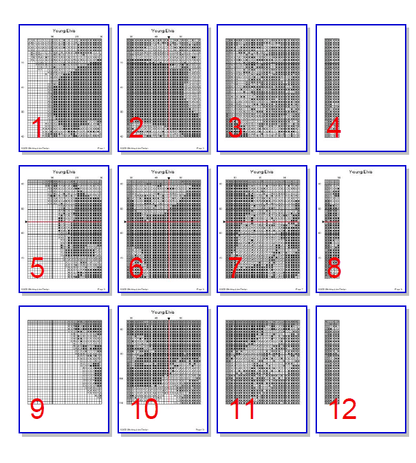 Stitching Jules Design Needlecraft Pattern Elvis Presley Cross-Stitch Pattern Instant PDF Download